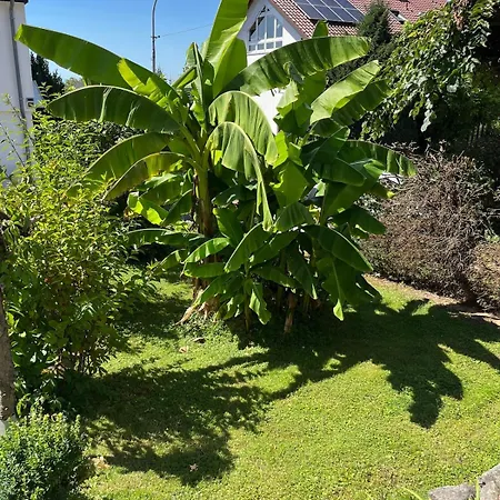 Schoene In Idyllischer Lage Apartament Ortenberg (Baden-Wurttemberg)